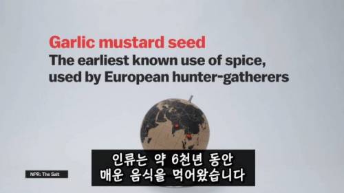 [스압] 매운 음식을 좋아하는 이유.jpg