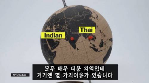 [스압] 매운 음식을 좋아하는 이유.jpg