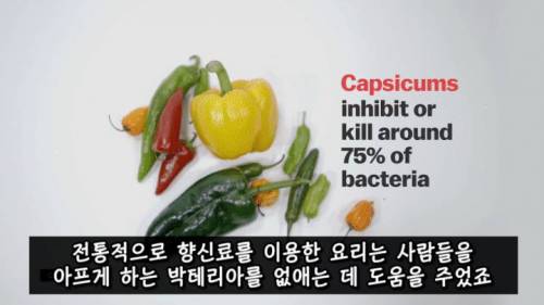 [스압] 매운 음식을 좋아하는 이유.jpg