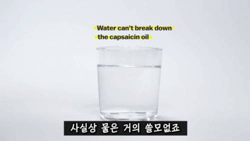 [스압] 매운 음식을 좋아하는 이유.jpg
