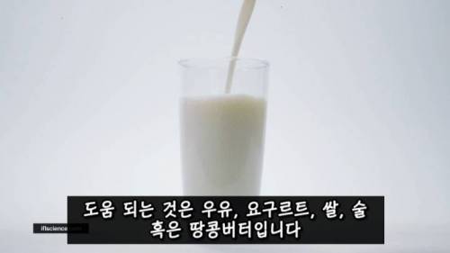 [스압] 매운 음식을 좋아하는 이유.jpg