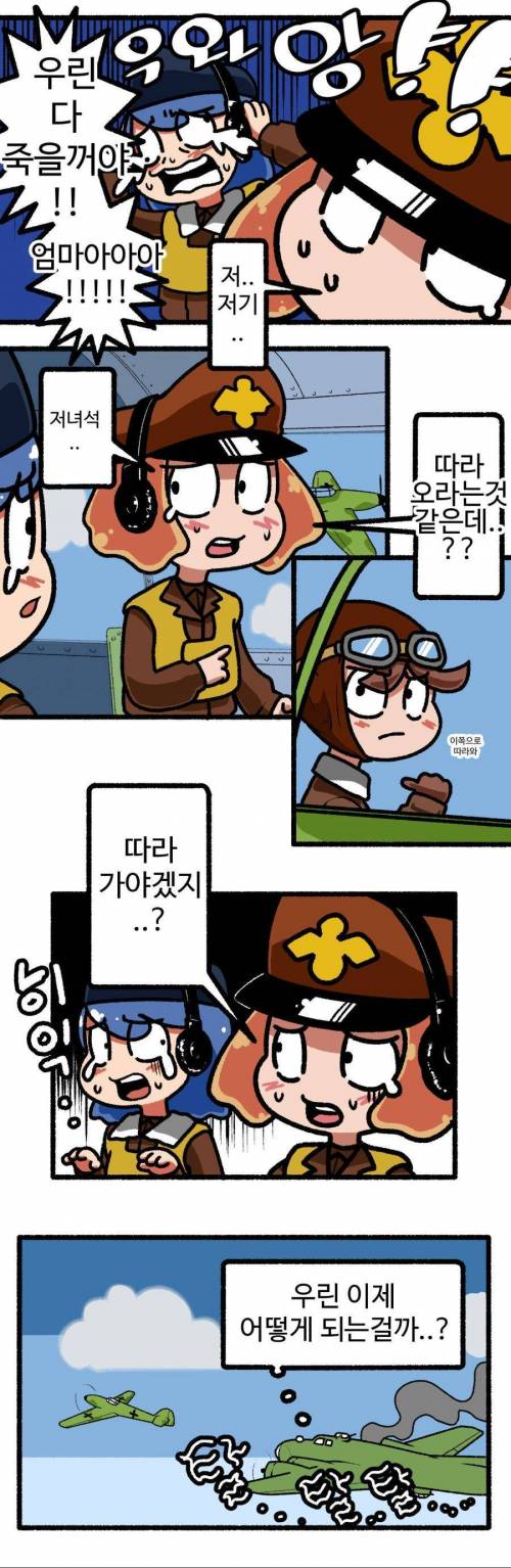 2차대전 중 기사도를 보여준 독일 전투기.jpg