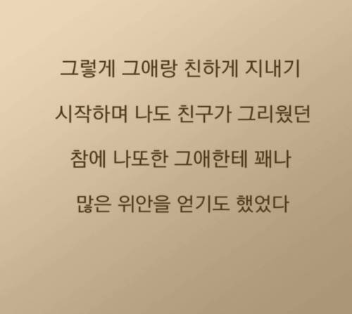 [스압] 일본에서 중학교 다닌 썰 manhwa