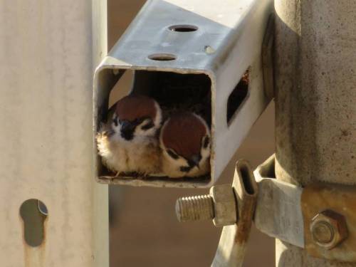CCTV.jpg