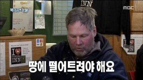 북극곰이 나타났을 때 대처 방법