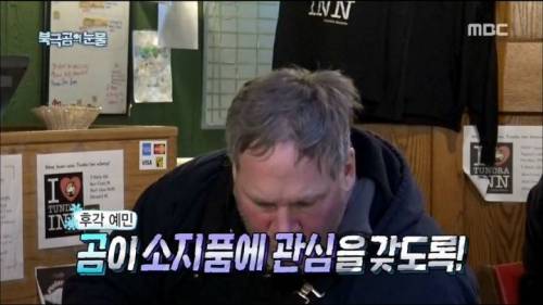 북극곰이 나타났을 때 대처 방법