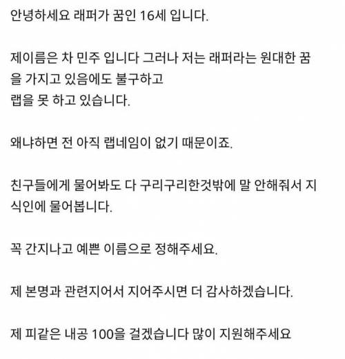 랩네임을 대신 지어달라고 글 올린 소녀.jpg