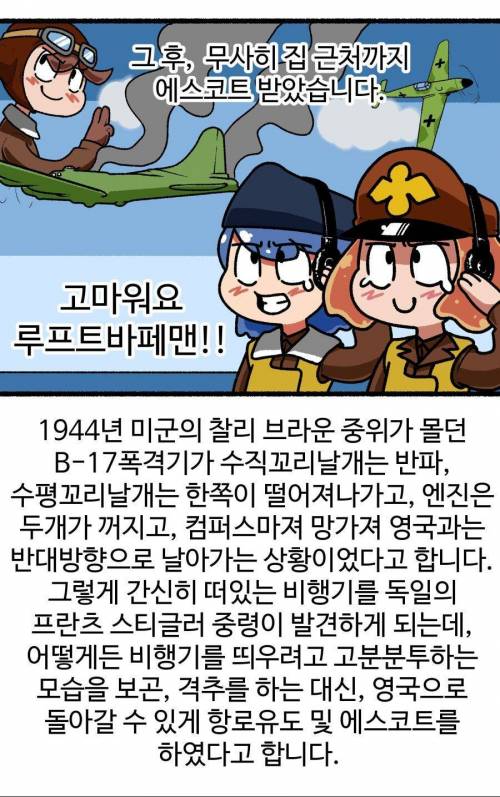 2차대전 중 기사도를 보여준 독일 전투기.jpg