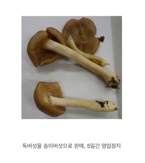 음식가지고 장난 안친다는 일본 특징.jpg