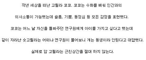 짐승도 거부하는 근친상간.mp4