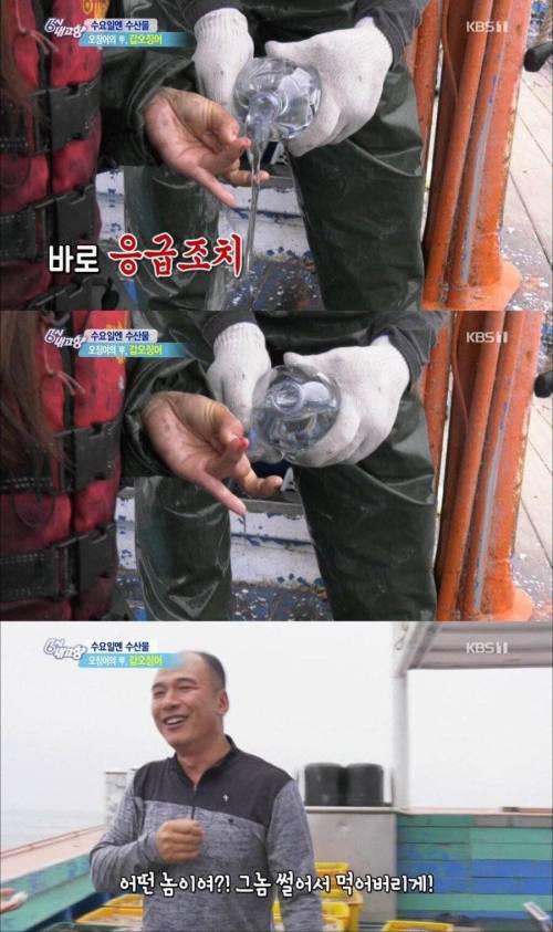 갑오징어한테 물린 리포터.jpg