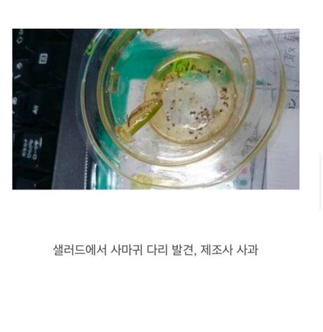 음식가지고 장난 안친다는 일본 특징.jpg