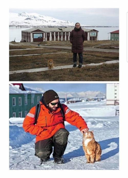 고양이 출입이 금지된 어느 섬의 유일한 고양이.jpg