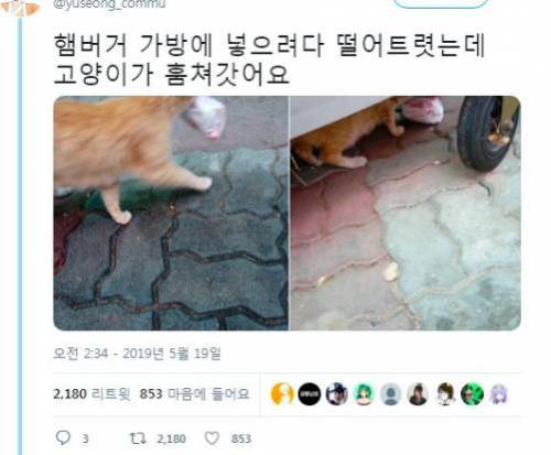 햄버거 도둑.jpg