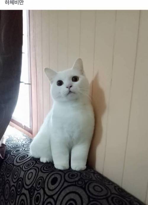 두툼하네.jpg