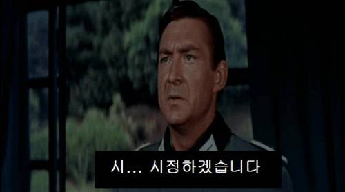 [스압] 나치 장교로 위장하는 방법.jpg