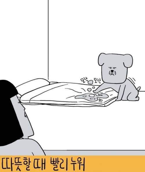 [스압] 무엇이든 그려드립니다2.jpg