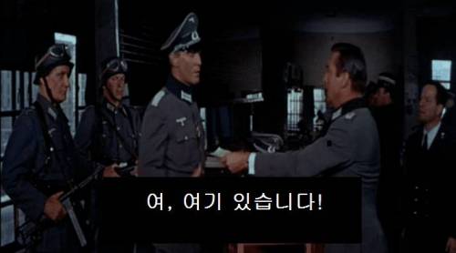 [스압] 나치 장교로 위장하는 방법.jpg