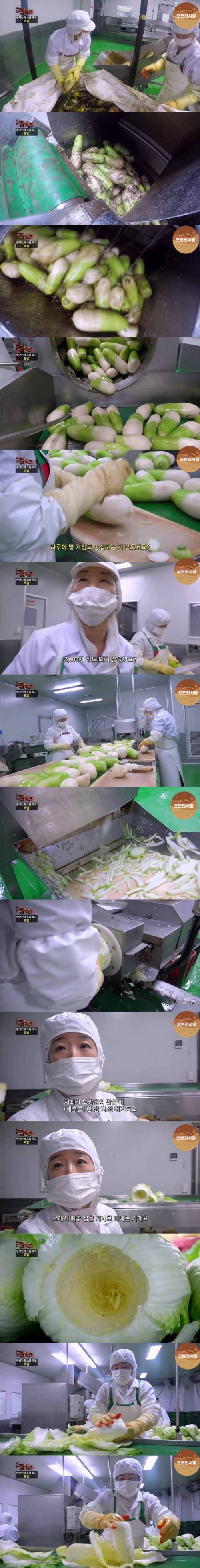 [스압] 공장에서 보쌈김치를 만드는 과정.jpg
