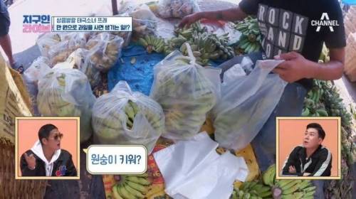 [스압] 태국에서 현지인이 약 5만원어치 과일을 샀을 때.jpg