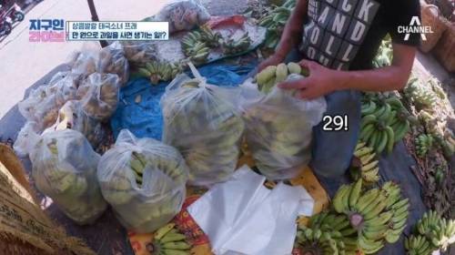 [스압] 태국에서 현지인이 약 5만원어치 과일을 샀을 때.jpg
