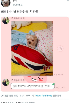 외박하는 날 엄마한테 온 카톡.jpg