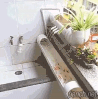 수제 어항.gif