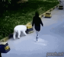 대륙의 신종 자해공갈.gif