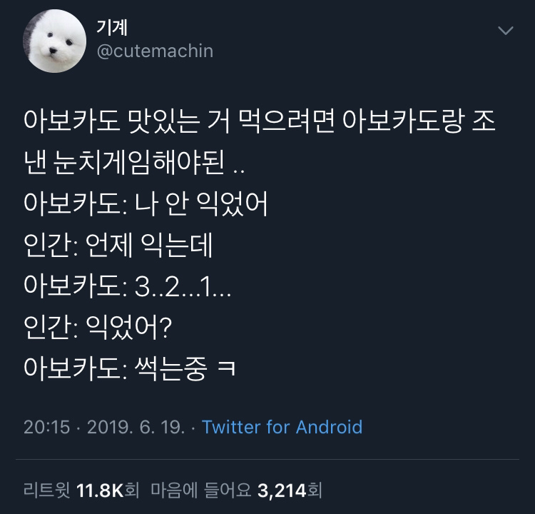 아보카도랑 눈치게임.jpg