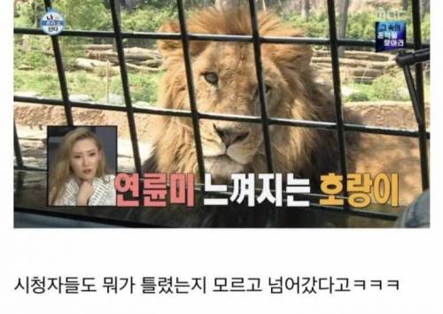 나혼자 산다 역대급 오타.jpg