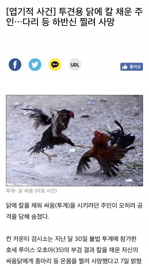 아이템빨 레전드.jpg