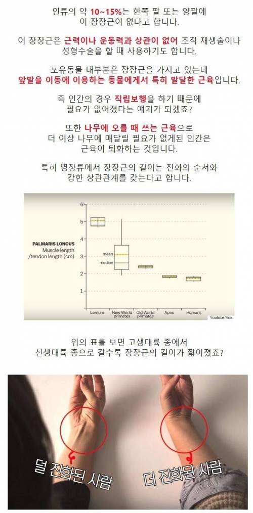 사람들 중 10프로만 없다는 근육.jpg