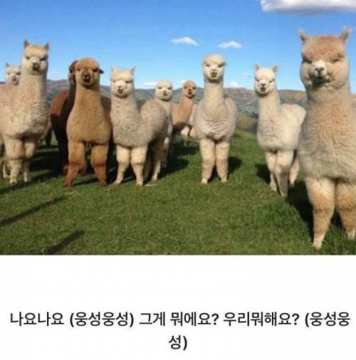 [스압] 키즈카페 알바생의 노하우.jpg