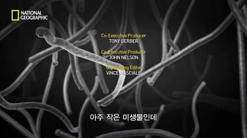 [스압] 지옥의 문에 들어간 탐험가