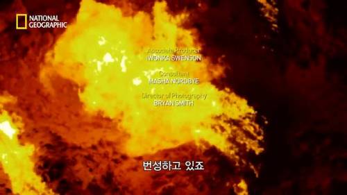 [스압] 지옥의 문에 들어간 탐험가