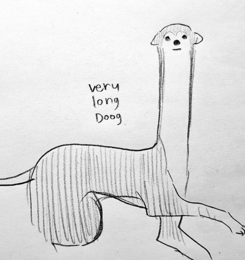 애완 알파카.jpg
