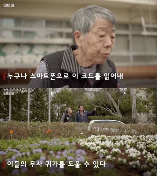 [스압] 일본의 치매 노인 관리.jpg