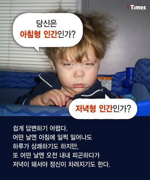 [스압] 당신은 어떤 시간 유형을 갖고있나요?.jpg
