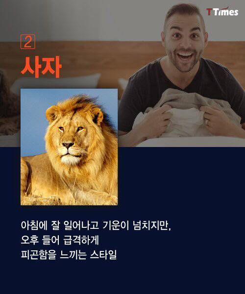 [스압] 당신은 어떤 시간 유형을 갖고있나요?.jpg