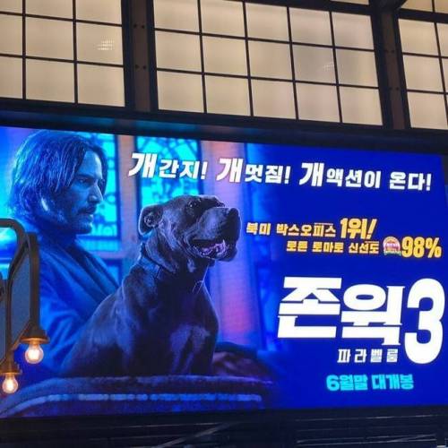개같은 존윅3 광고.JPG