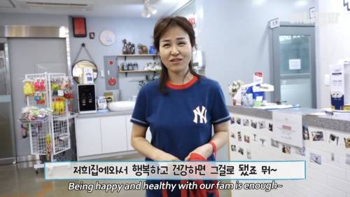 13kg 대왕 말티즈ㄷㄷ.jpg