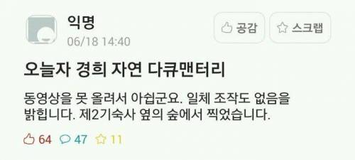 경희대 자연 다큐멘터리.jpg