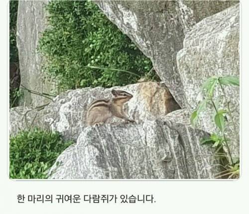 경희대 자연 다큐멘터리.jpg
