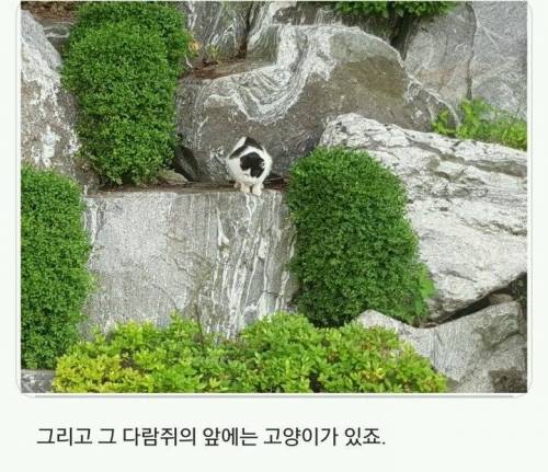 경희대 자연 다큐멘터리.jpg