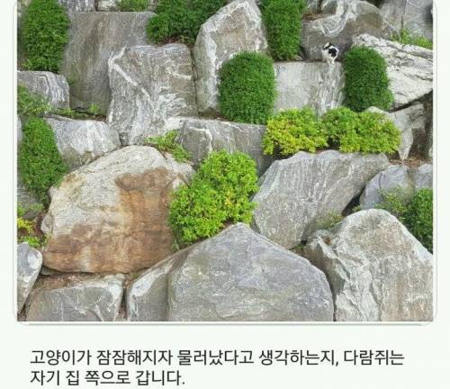 경희대 자연 다큐멘터리.jpg