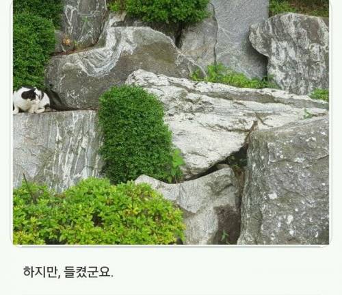 경희대 자연 다큐멘터리.jpg