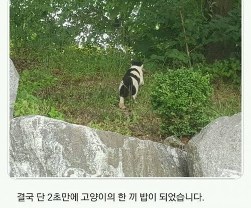 경희대 자연 다큐멘터리.jpg