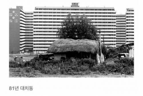강남에 초가집 있던 시절.jpg