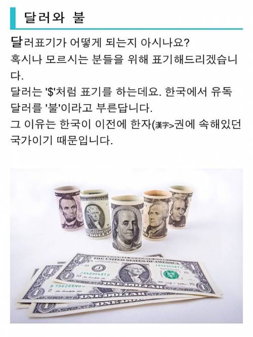 달러를 불이라고 부르는 이유.jpg