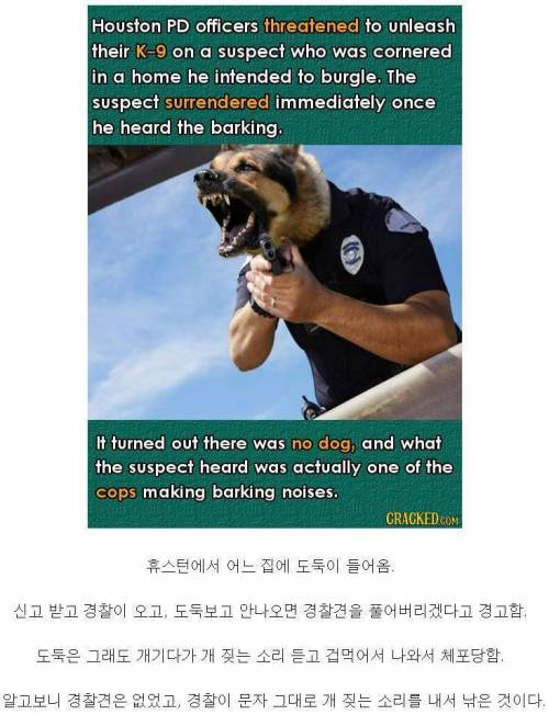 정말 개같은 미국 경찰.jpg